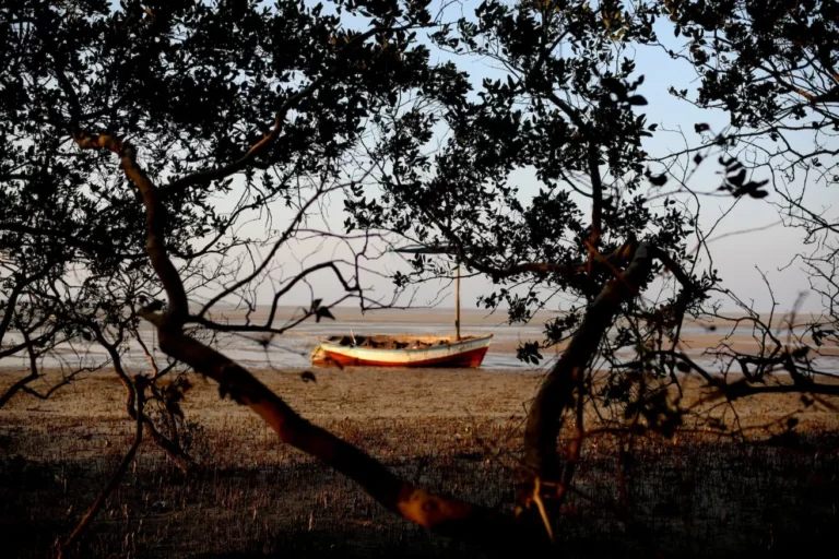 Azulik Lodge photo