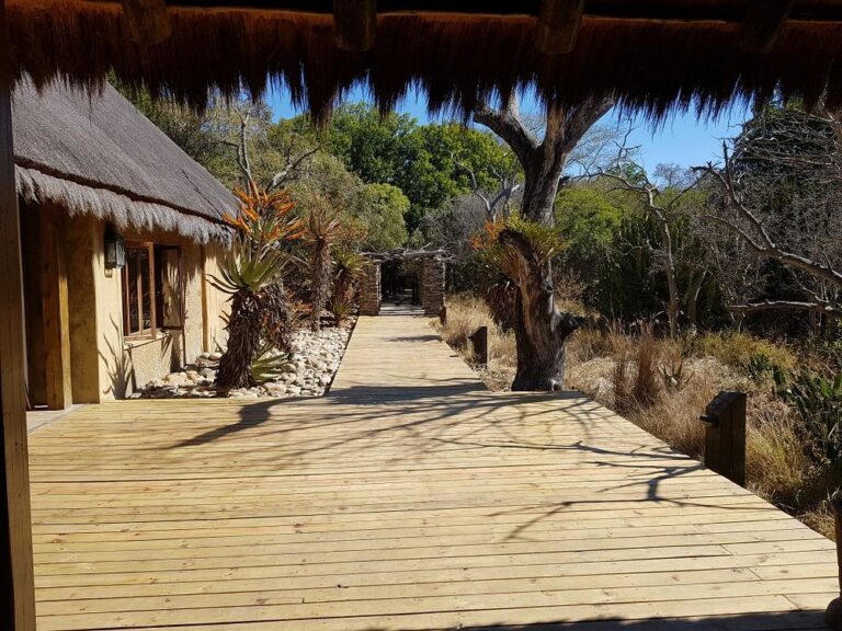 Kapama Private Game Reserve photo