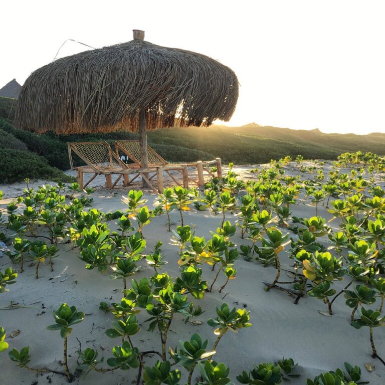 Anvil Bay Lodge photo