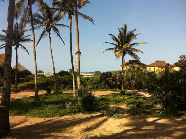 Mangal Beach Lodge photo