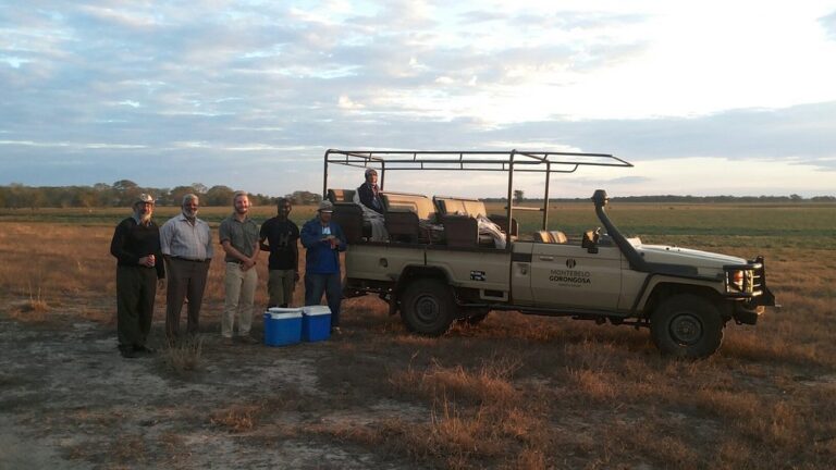 Gorongosa National Park photo