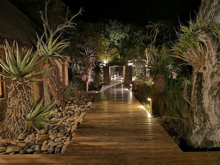 Kapama Private Game Reserve photo