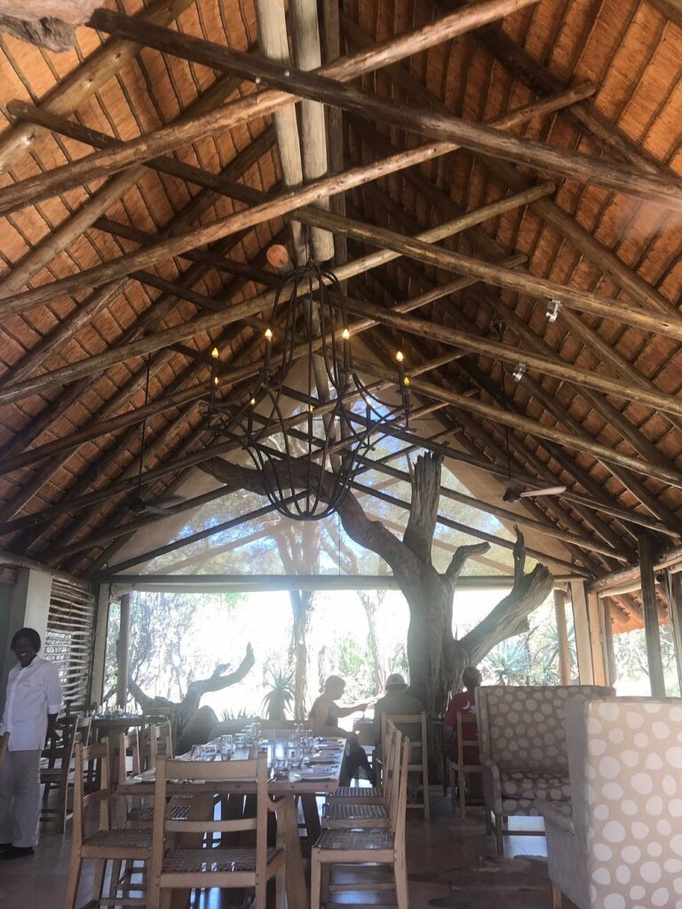 Kapama Private Game Reserve photo