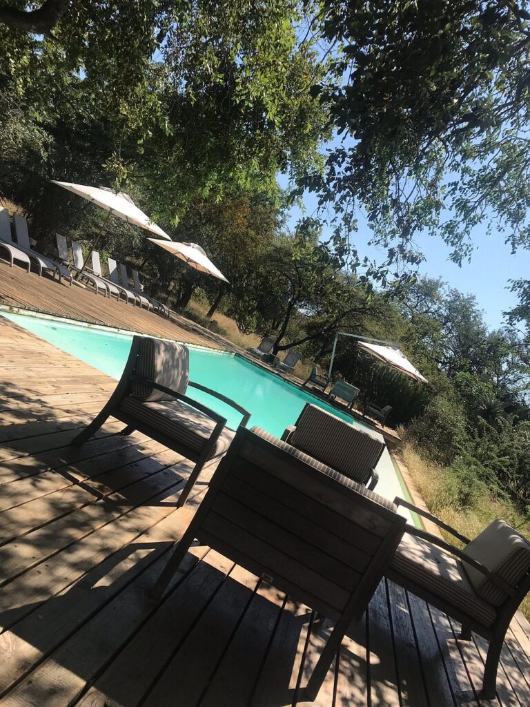 Kapama Private Game Reserve photo