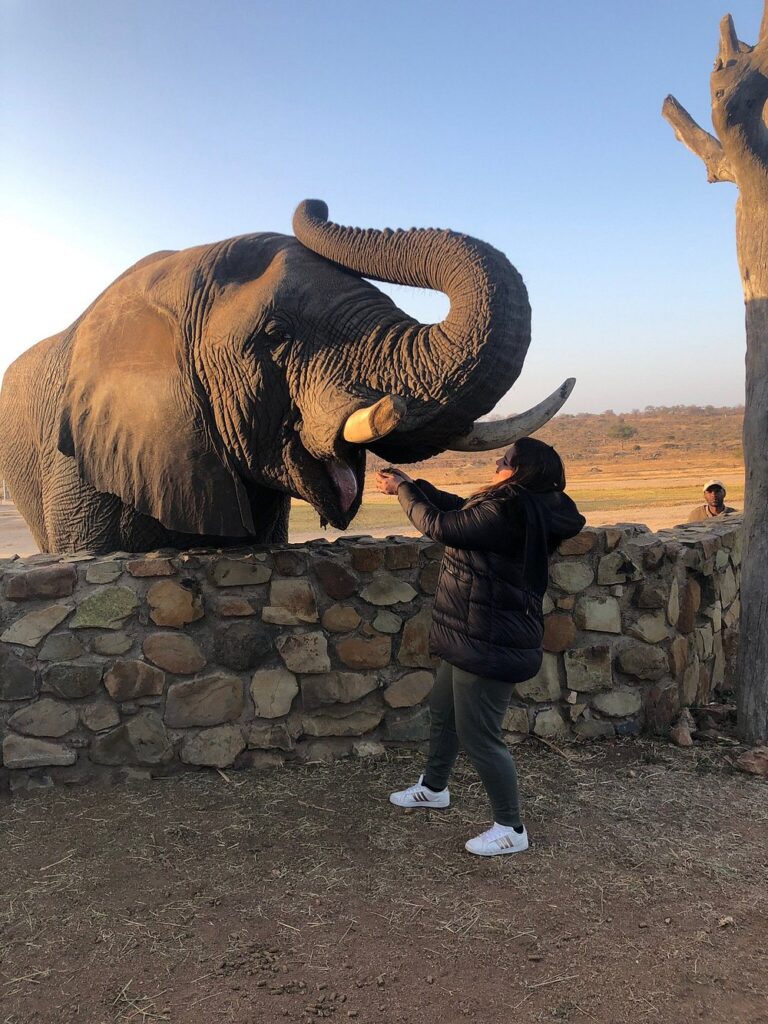 Kapama Private Game Reserve photo