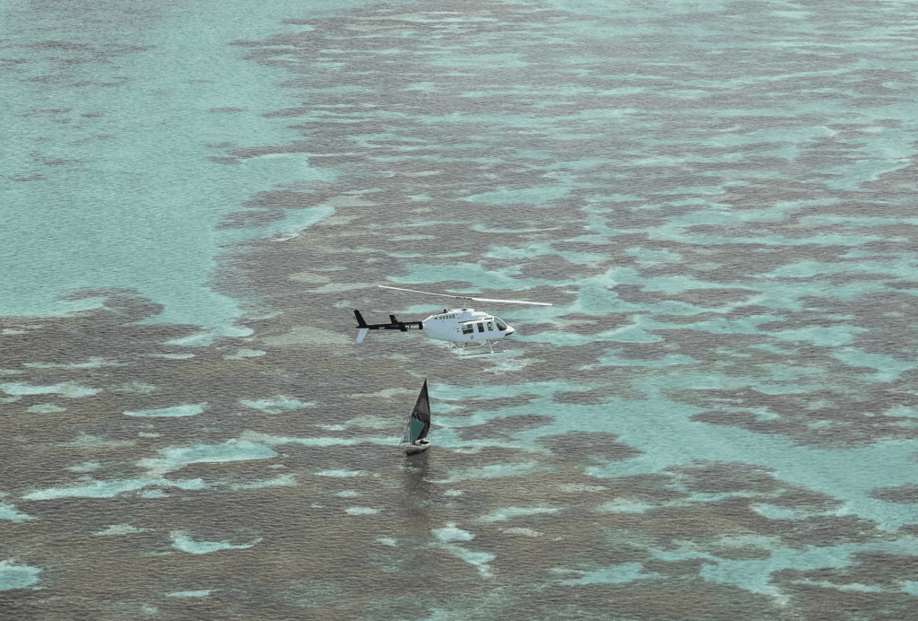 Wildlife Helicopters photo