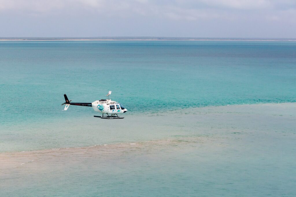 Wildlife Helicopters photo