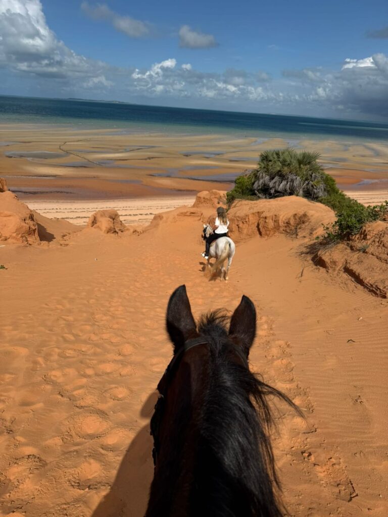 Mozambique Horse Safari photo