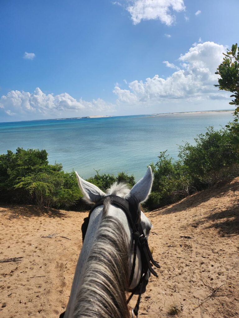Mozambique Horse Safari photo