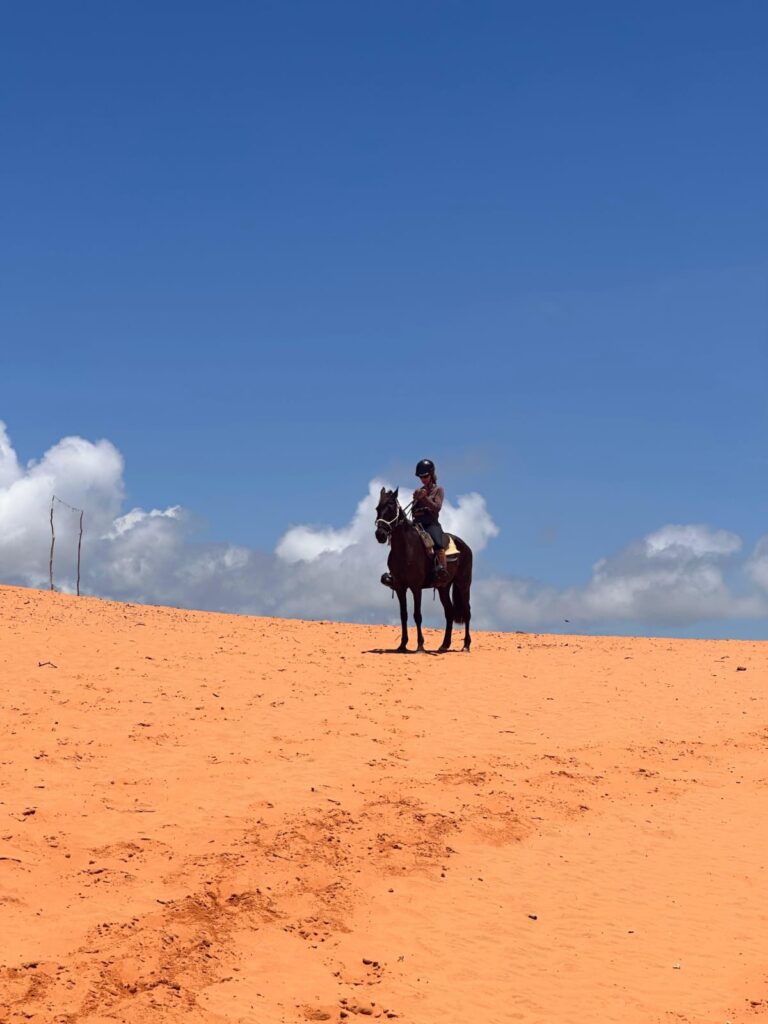 Mozambique Horse Safari photo