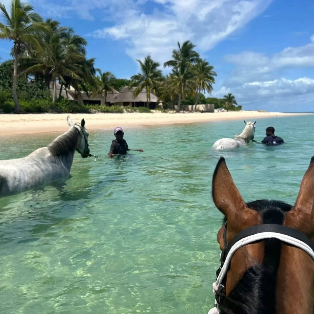 Mozambique Horse Safari photo