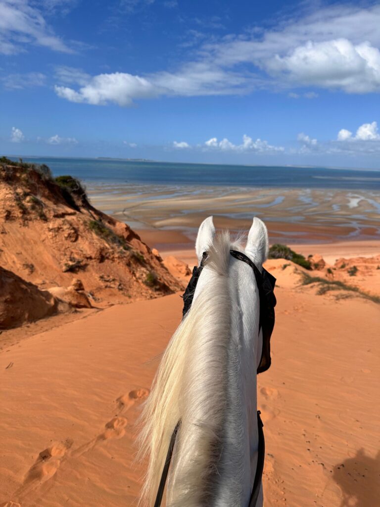 Mozambique Horse Safari photo