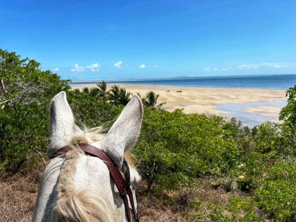 Mozambique Horse Safari photo