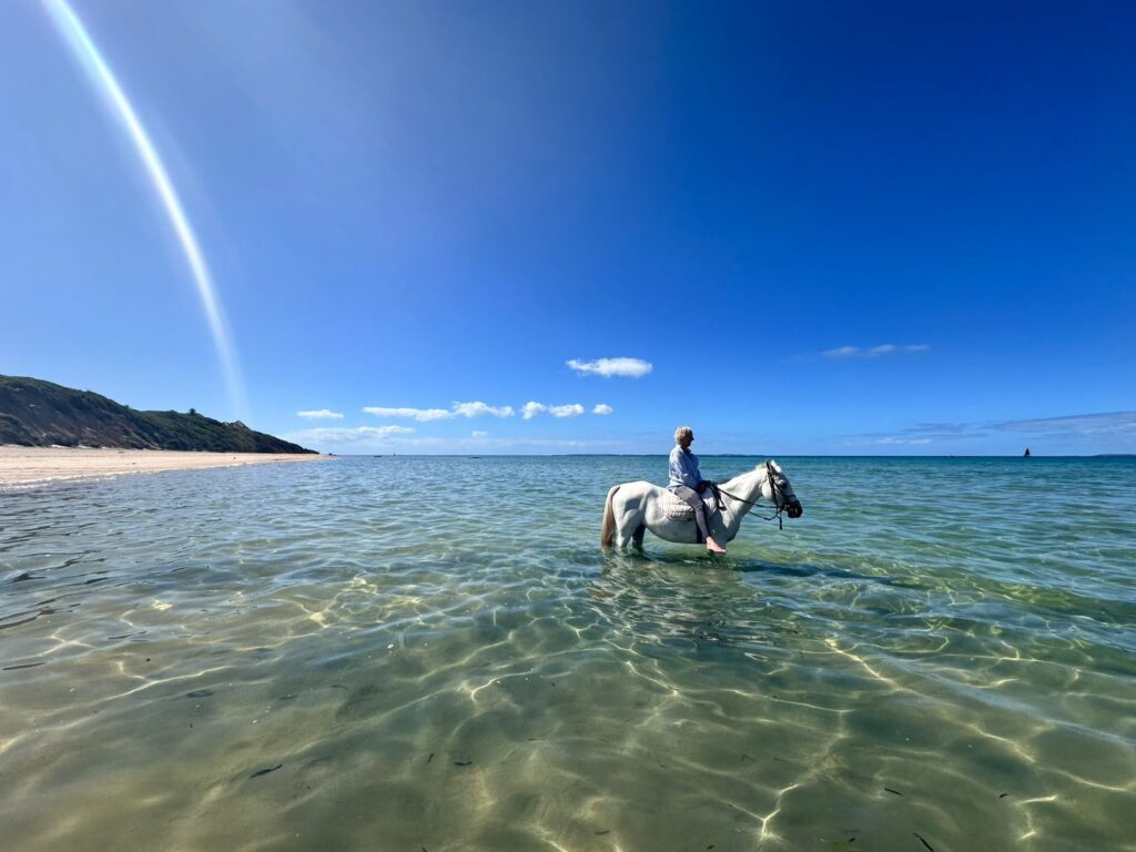 Mozambique Horse Safari photo
